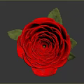 Beautiful Red Rose With Green Stem And Leaves On Gray Background