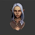 Elf Character 3D Model Bust Featuring Silver Gray Long Hair Pointed Ears And Decorative Collar