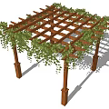 Outdoor Wooden Pergola With Lush Green Climbing Vines And Sunlight Shadow Patterns