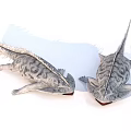 Detailed Spotted Aquatic Animals With Gray Bodies Long Tails Dorsal Fins Red Mouths
