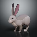 Low Poly Style Gray Rabbit 3D Model With Pink Ears On Dark Background