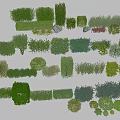 Diverse Green Bushes in Various Shapes for Garden Landscaping and Outdoor Decoration