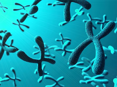 3D Illustration of Chromosomes Showing Scientific Structure on Blue Background 3d model