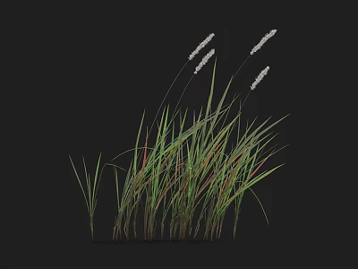 Lush Green Grass With White Flower Spikes And Fresh Long Leaves In Natural Arrangement 3d model