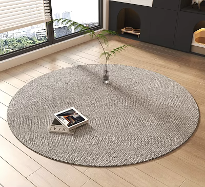 Round Carpet on Wooden Floor with Books Vase and Green Plant in Bright Room 3d model