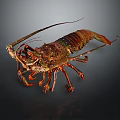 Detailed Colorful Lobster With Long Curved Antennae Large Claws And Segmented Legs On Dark Background