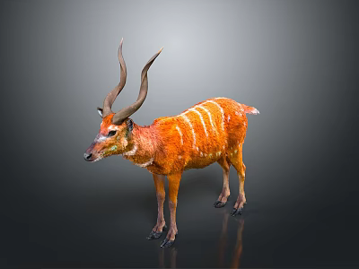 Orange Fur Animal Standing With White Stripes And Long Curved Horns 3d model