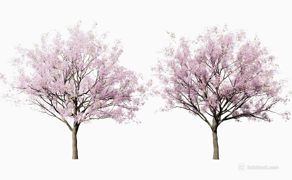 Two Pink Flowering Trees With Abundant Pink Blooms And Delicate Branches 3d model 