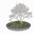 Circular White Flower Planter with Tree Blooming White Flowers Surrounded by Green Plants and Stones