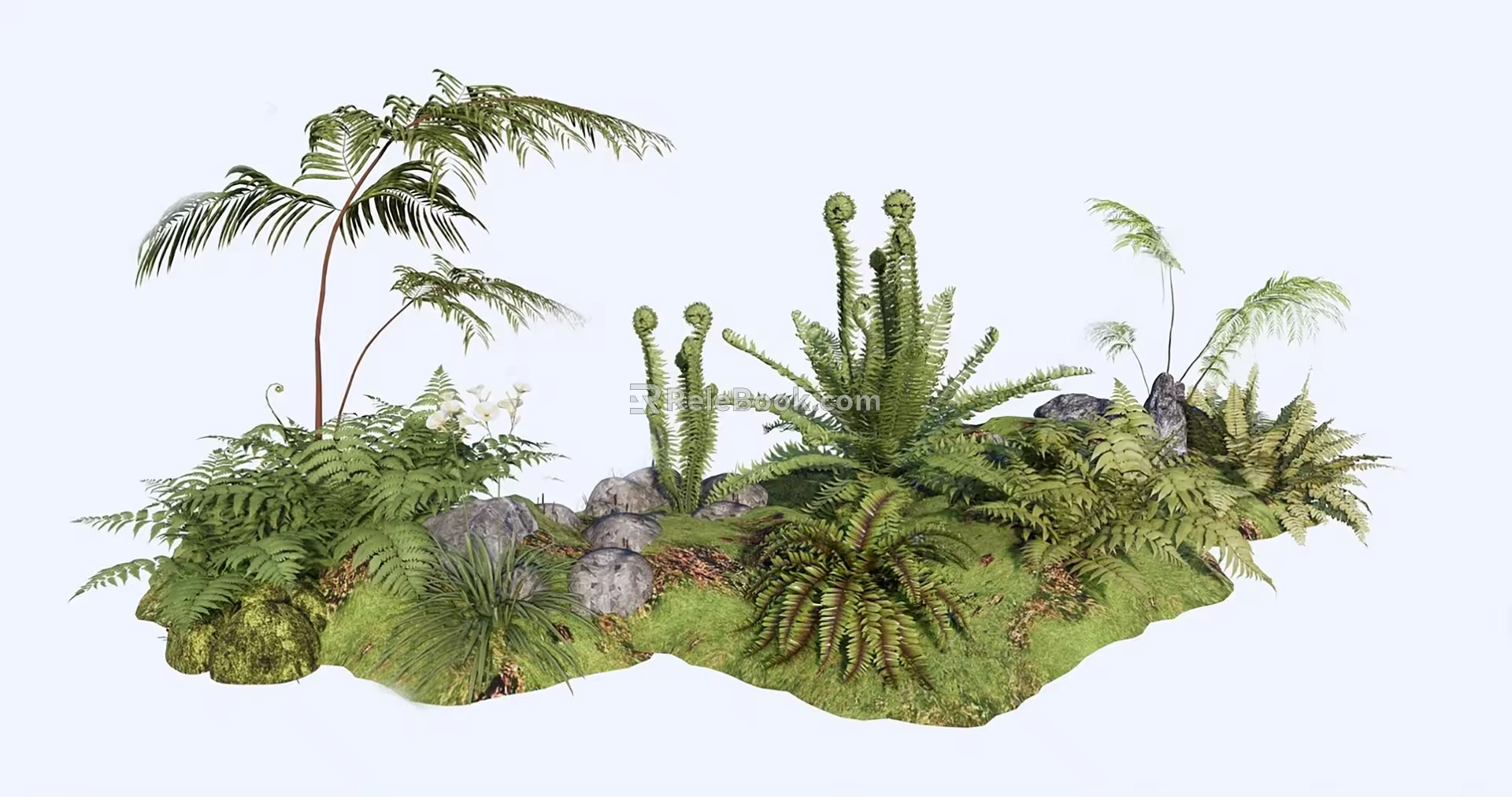 fern assemblage 3d model