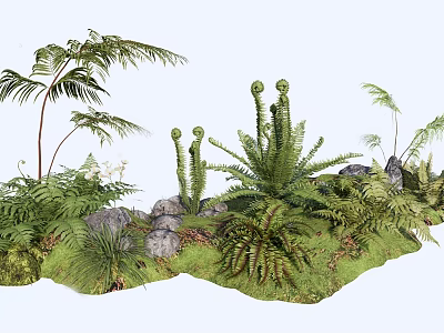 Lush Bonsai Potted Plants With Ferns Rocks And Natural Green Landscape Decor 3d model