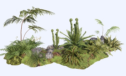 fern assemblage 3d model