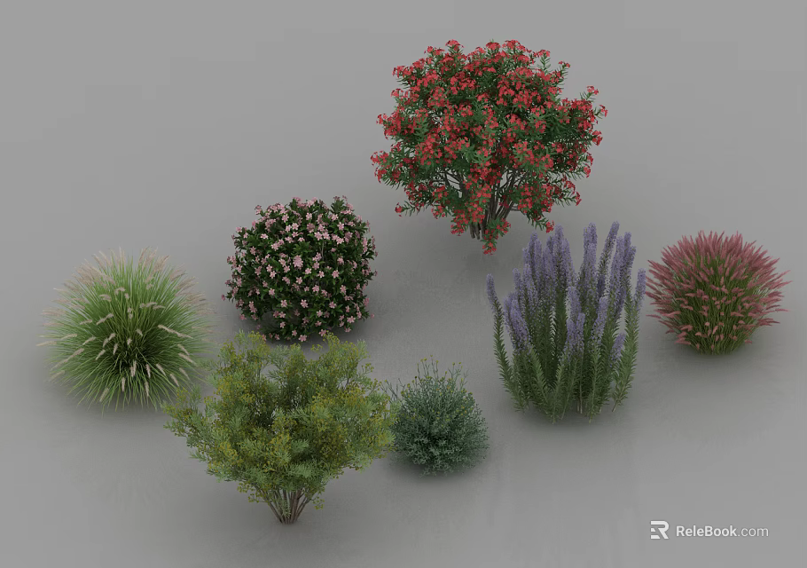 Various Types of Garden Shrubs with Colorful Flowers and Diverse Foliage 3d model 