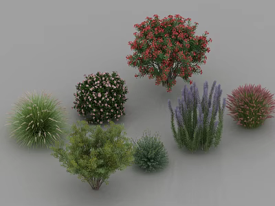 Various Types of Garden Shrubs with Colorful Flowers and Diverse Foliage 3d model
