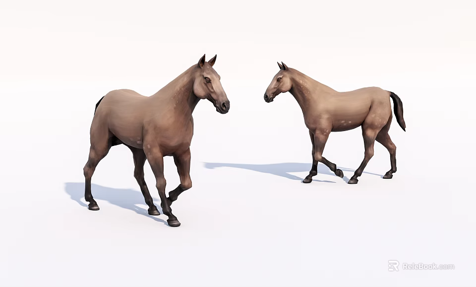 Two Realistic Brown Reptiles Standing On White Background Different Postures 3d model 