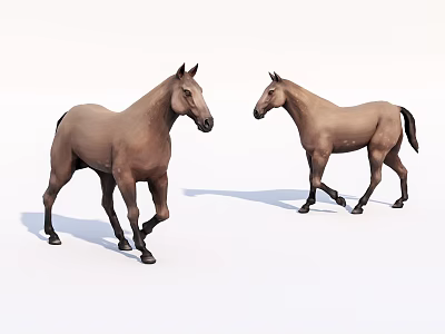 Two Realistic Brown Reptiles Standing On White Background Different Postures 3d model