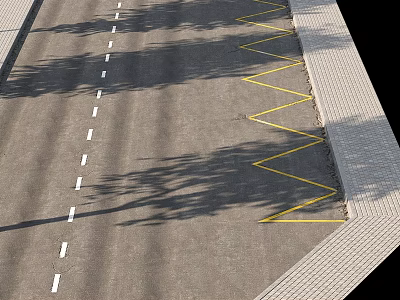 Road Facilities With White Dashed Lines Yellow Zigzag Markings And Sidewalk With Tree Shadows 3d model
