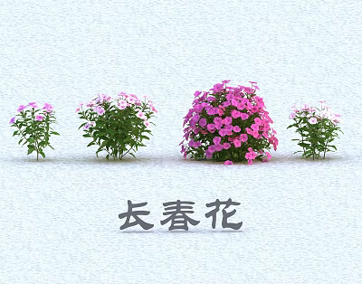 Periwinkle Flowers With Pink And White Blooms And Green Leaves In Various Sizes 3d model