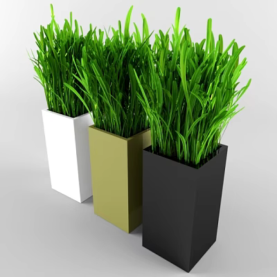 Green Grass Potted Plants with White Golden Black Square Planters for Home Decoration 3d model