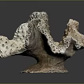 Porous Marine Sponge Animal With Irregular Structure Grayish Brown Color And Small Holes
