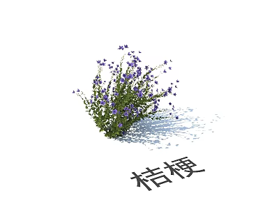 Lush Bush with Purple Platycodon Flowers and Green Leaves in Garden 3d model