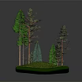 Realistic Forest Model Display With Various Evergreen Trees And Green Grass