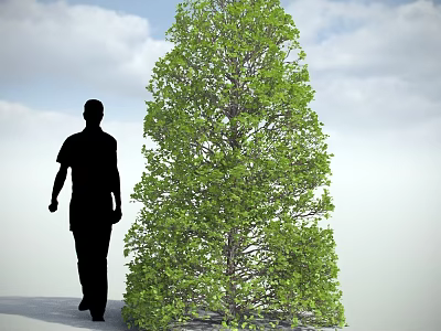 Lush Green Tree With Dense Foliage And Man Silhouette Walking Beside Under Cloudy Sky 3d model