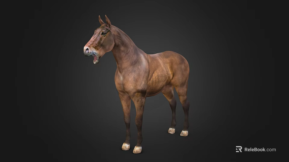 Brown Horse In Standing Posture With Open Mouth On Dark Background 3d model 