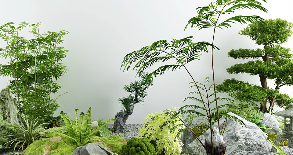 Lush Courtyard Garden With Bamboo Ferns Rock Stones And Natural Greenery 3d model 