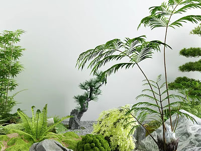 Lush Courtyard Garden With Bamboo Ferns Rock Stones And Natural Greenery 3d model