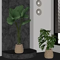 Indoor Tropical Potted Plants With Fan Palm And Monstera In Woven Basket Pots Near Window