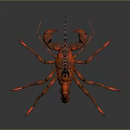 Five Striped Scorpion Karoleni Scorpion Italian Scorpion Mexican Scorpion Soves Scorpion East Asian Piners Scorpion 3d model
