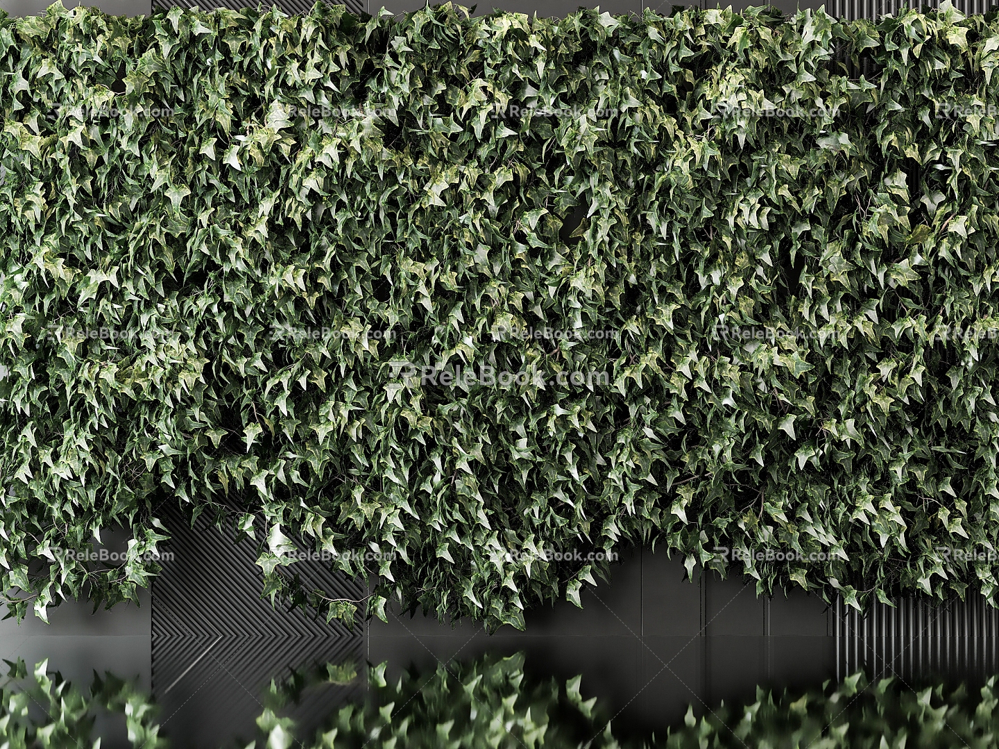 Modern Plant Wall 3d model