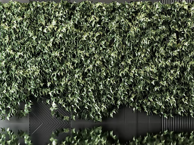 Lush Green Plant Wall Covering Dark Wall Surface 3d model Lush Green Plant Wall Covering Dark Wall Surface 3d model