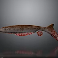 Graceful Red Spotted Fish Swimming On Dark Background With Clear Reflection