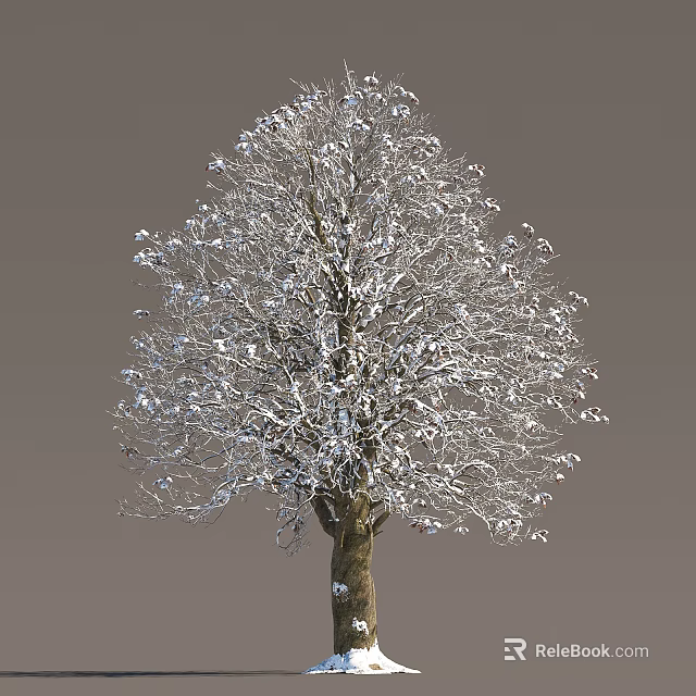 Deciduous Tree With Snow Covered Branches And Brown Trunk In Winter 3d model 