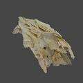 Animal Skull Specimen With Identification Number 2385 And Detailed Bone Structure