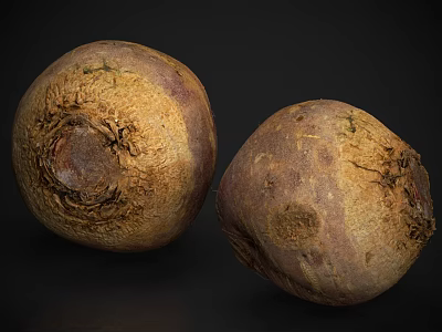 Fresh Raw Beets With Soil On Dark Background For Healthy Cooking Ingredients 3d model