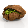 Opened Walnut with Fresh Green Kernels Inside Showing Natural Texture