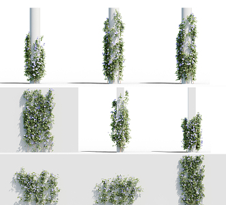 Modern Vine 3d model