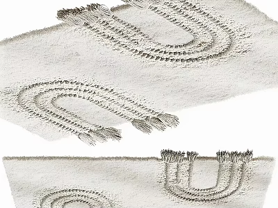Textured Square Rugs With Fringed Details And Patterns 3d model