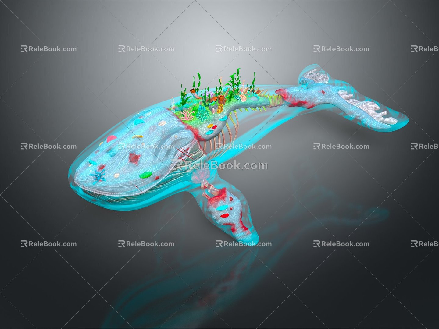 whale cartoon whale mammal marine mammal marine animal fish freshwater fish marine fish 3d model