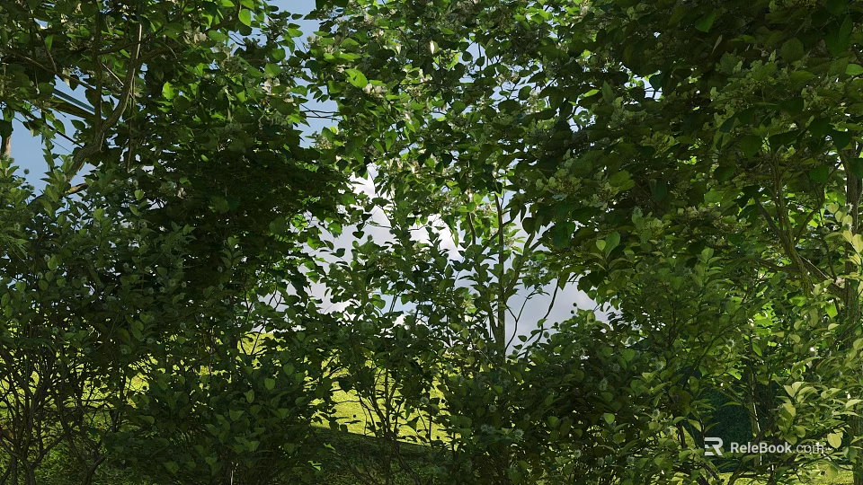 Lush Green Leafy Bushes Growing Under Blue Sky With Grassy Field 3d model 