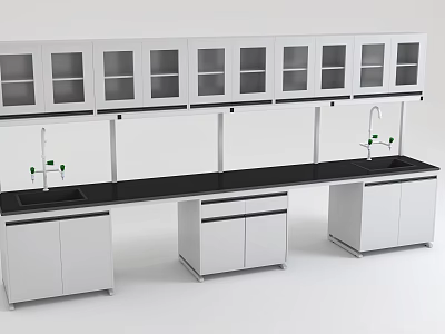 Laboratory Interior Design With Black Lab Bench Upper Glass Door Cabinets And Sinks 3d model