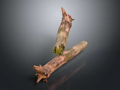 Natural Weathered Wood Logs with Mossy Texture and Rustic Surface Design 3d model
