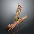 Natural Weathered Wood Logs with Mossy Texture and Rustic Surface Design