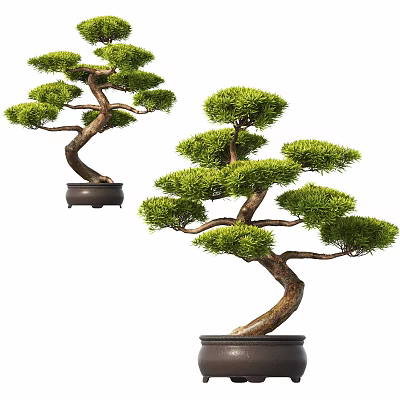 Elegant Bonsai Plant With Curved Trunk And Lush Green Foliage In Ceramic Pot 3d model