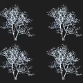 Four Leafless Trees With White Silhouette On Black Background Design Artwork