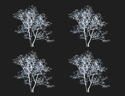 Four Leafless Trees With White Silhouette On Black Background Design Artwork 3d model