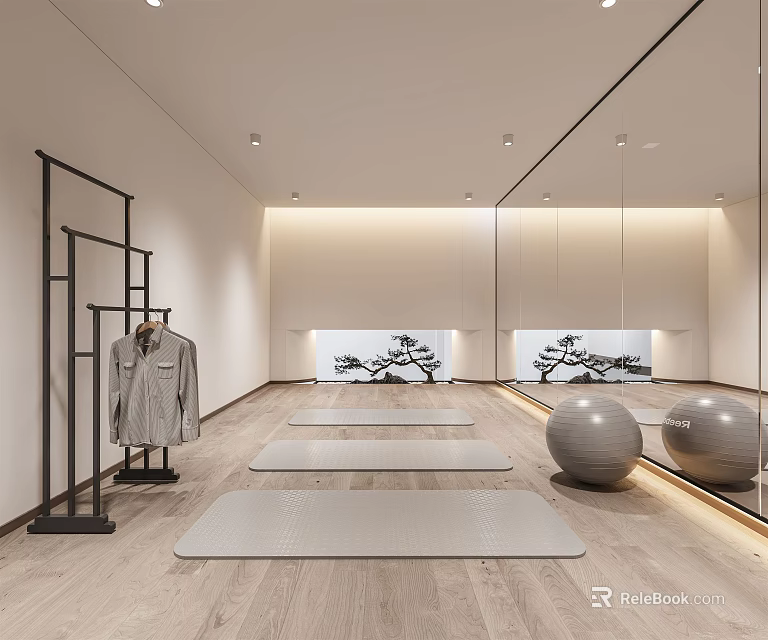 Modern Fitness Studio Interior With Yoga Mats Exercise Balls Clothing Rack And Mirrors 3d model 